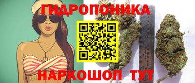 прущая мука Жуковский