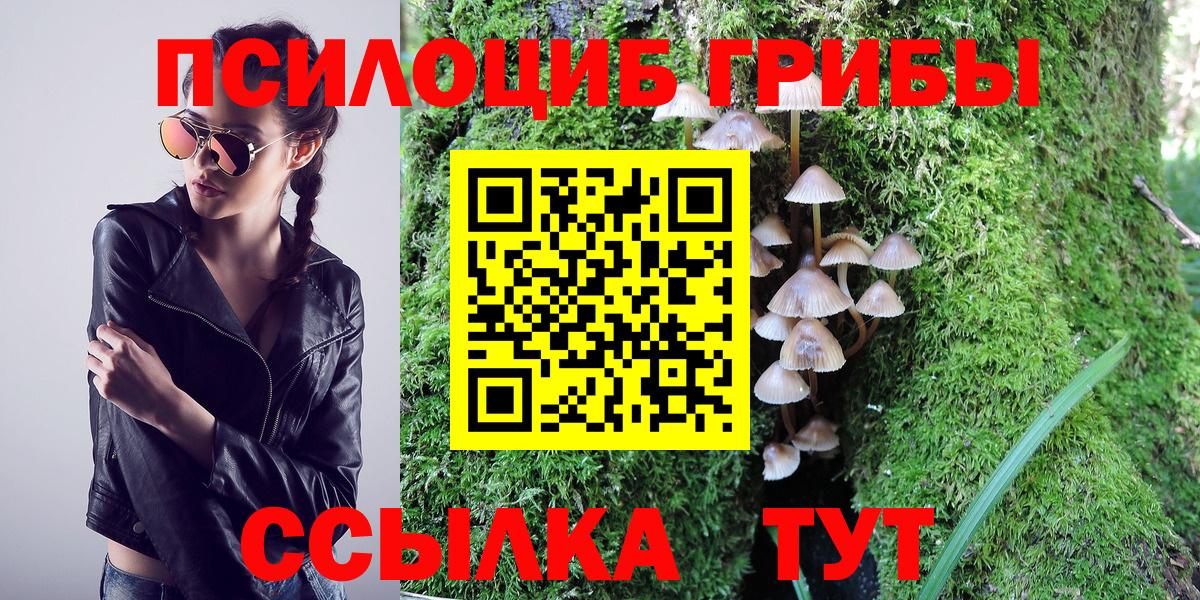 Галлюциногенные грибы мицелий  Вход с VPN  Благовещенск  Псилоцибиновые грибы Psilocybe 